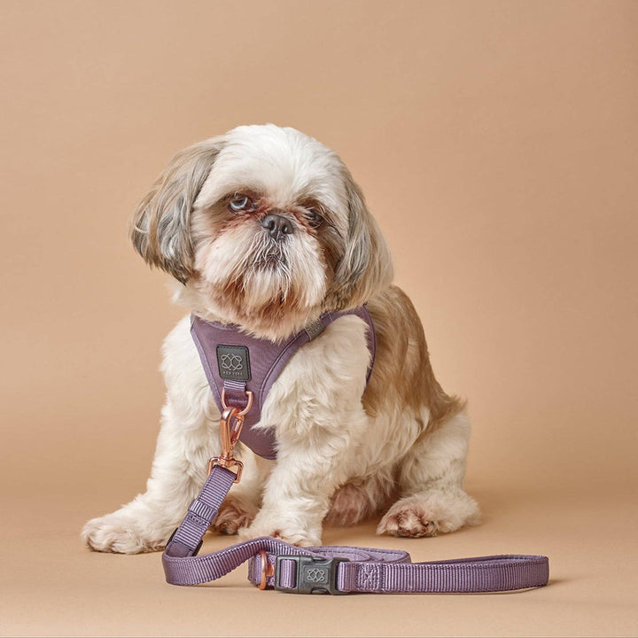 SoHo Dog Harness - Lilac Gray