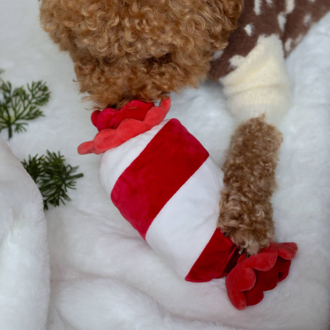 Peppermint Candy Nosework Toy