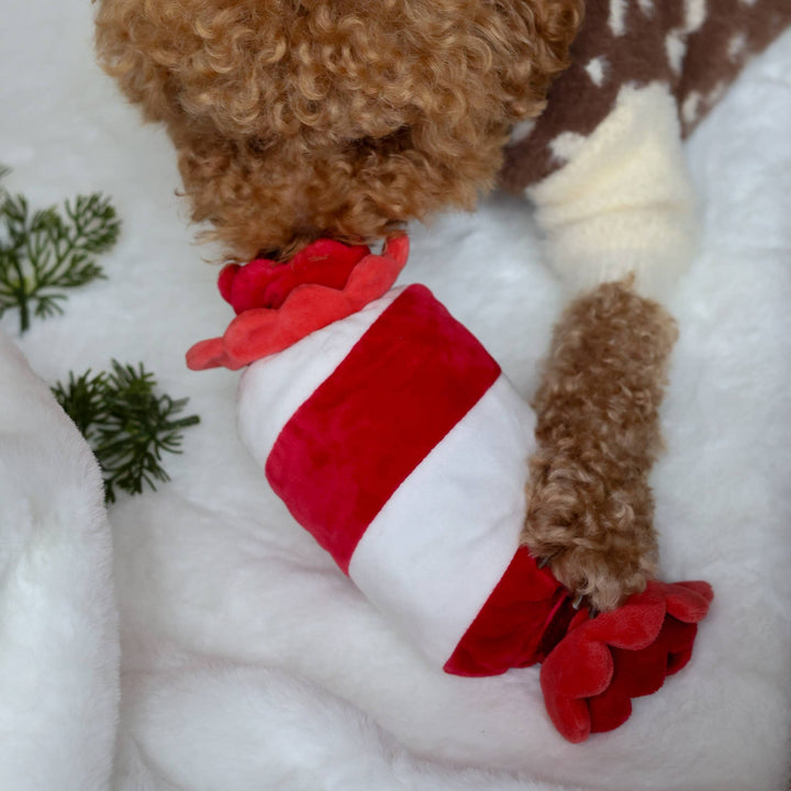 Peppermint Candy Nosework Toy