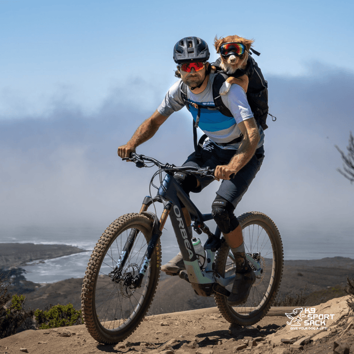 Knavigate | Advanced Dog Carrier with Internal Frame &amp; Hip Belt