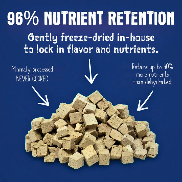 Freeze-Dried Alligator Recipe Dog Food 14 oz