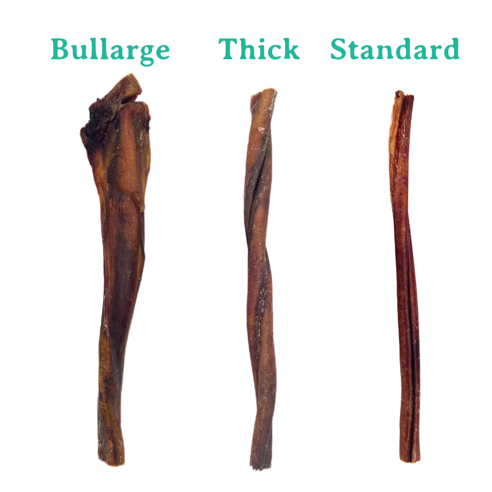 Bullarge Jumbo Beef Bully Stick 12"