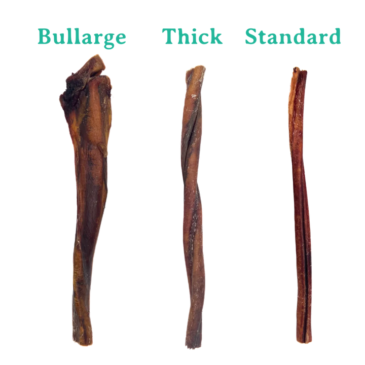Bullarge Jumbo Beef Bully Stick 12"
