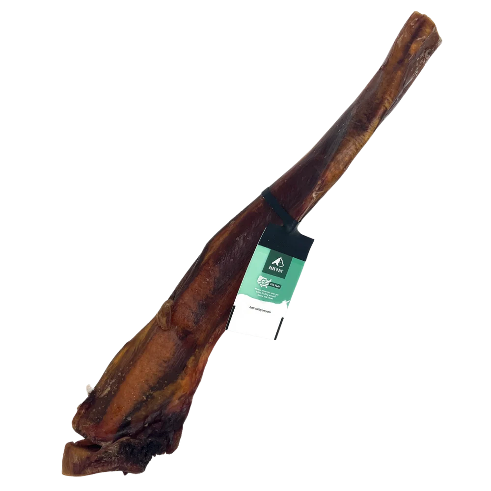 Bullarge Jumbo Beef Bully Stick 12"