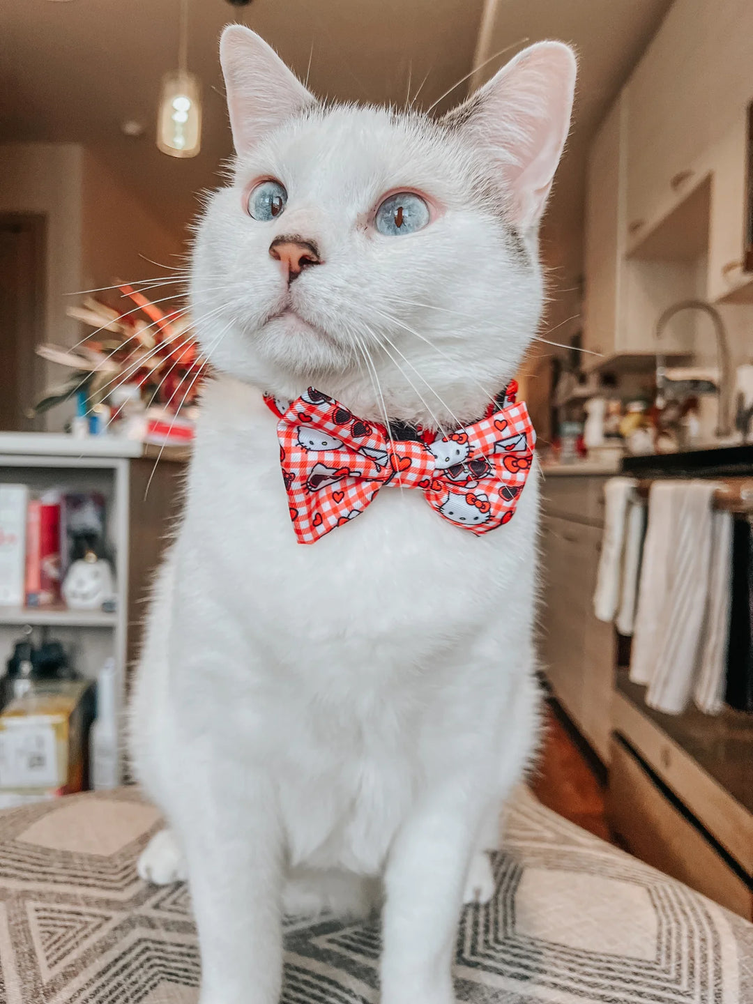 Cat Collar - Hello Kitty Red Classic