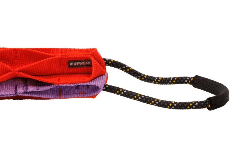 Webbing Remix Cactus Tug Toy