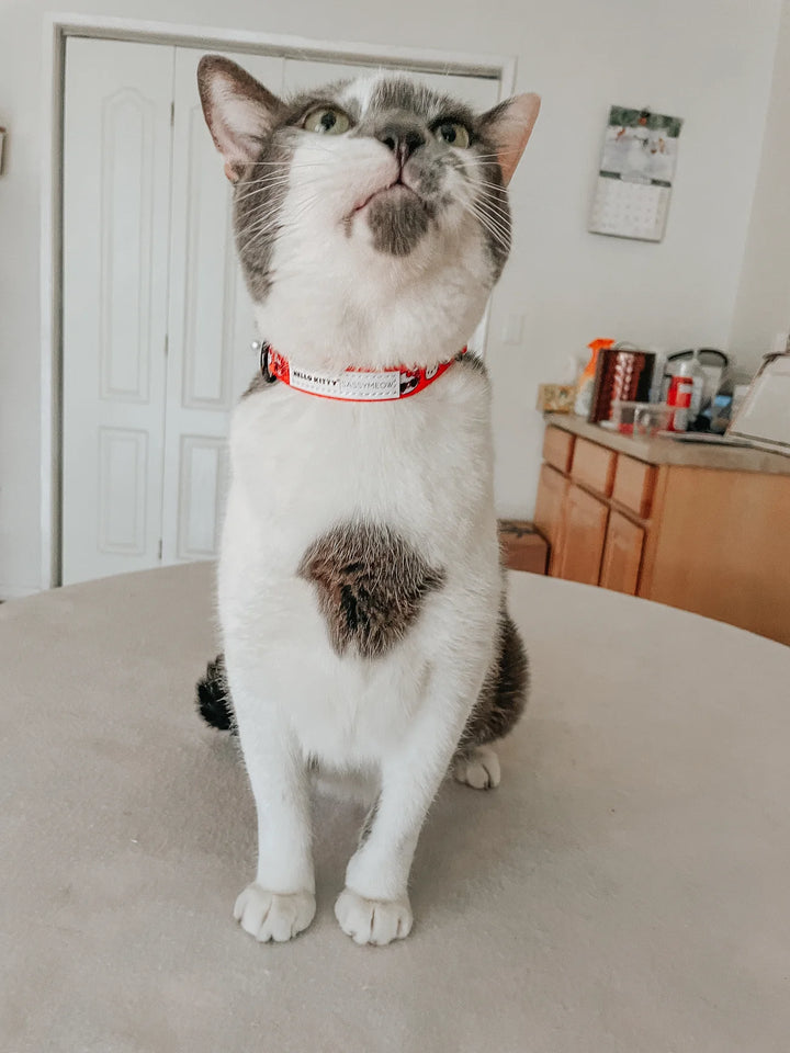 Cat Collar - Hello Kitty Red Classic