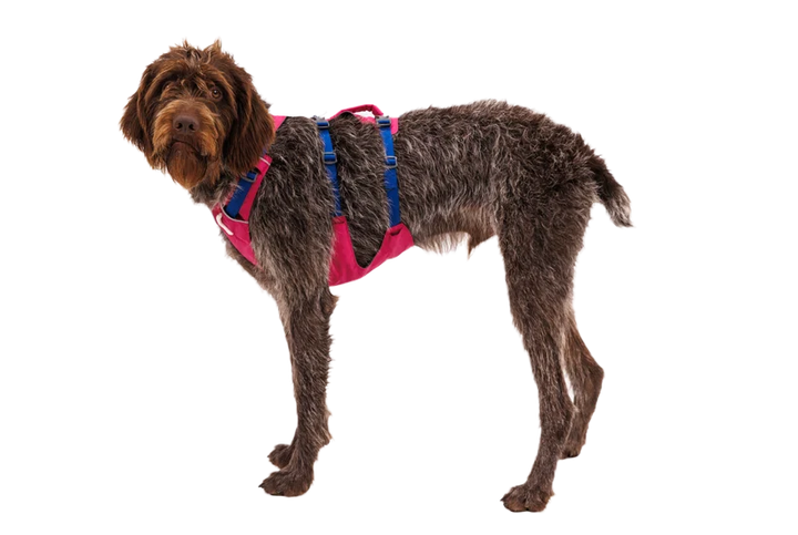 Flagline Dog Harness with Handle