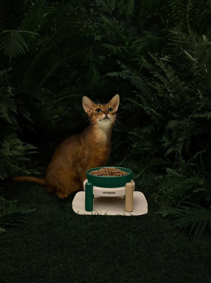 Santal Forest Ceramic Pet Bowl Set