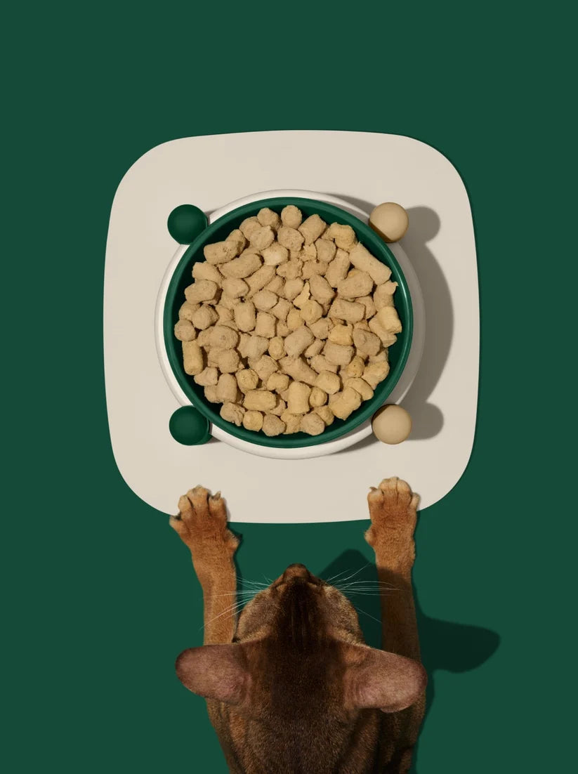 Santal Forest Ceramic Pet Bowl Set