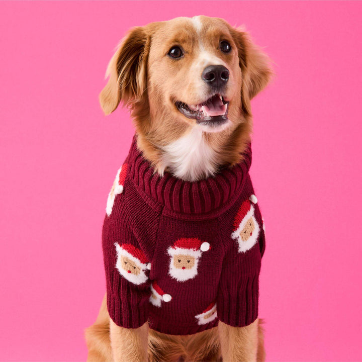 Ho Ho Ho! Dog Sweater