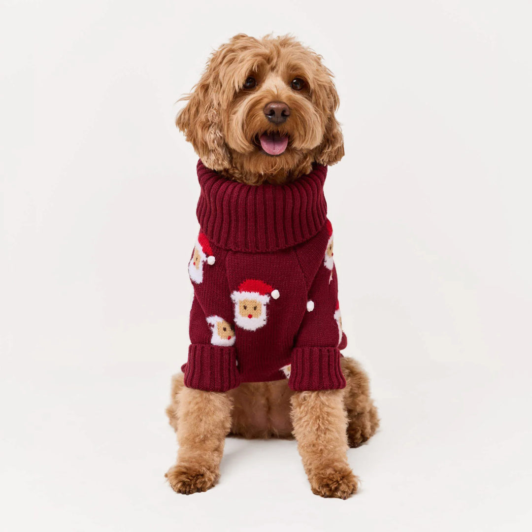 Ho Ho Ho! Dog Sweater