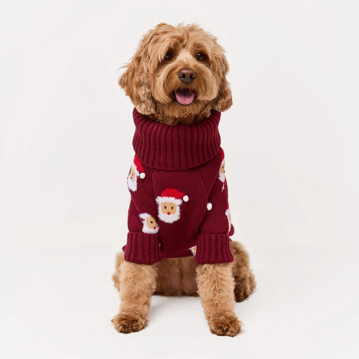 Ho Ho Ho! Dog Sweater