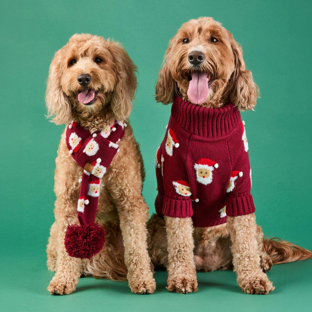 Ho Ho Ho! Dog Sweater