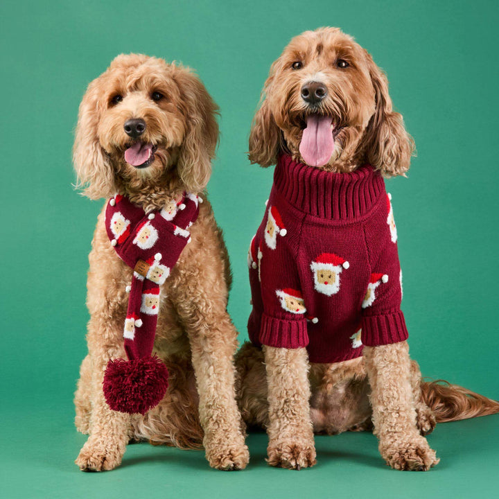Ho Ho Ho! Dog Sweater