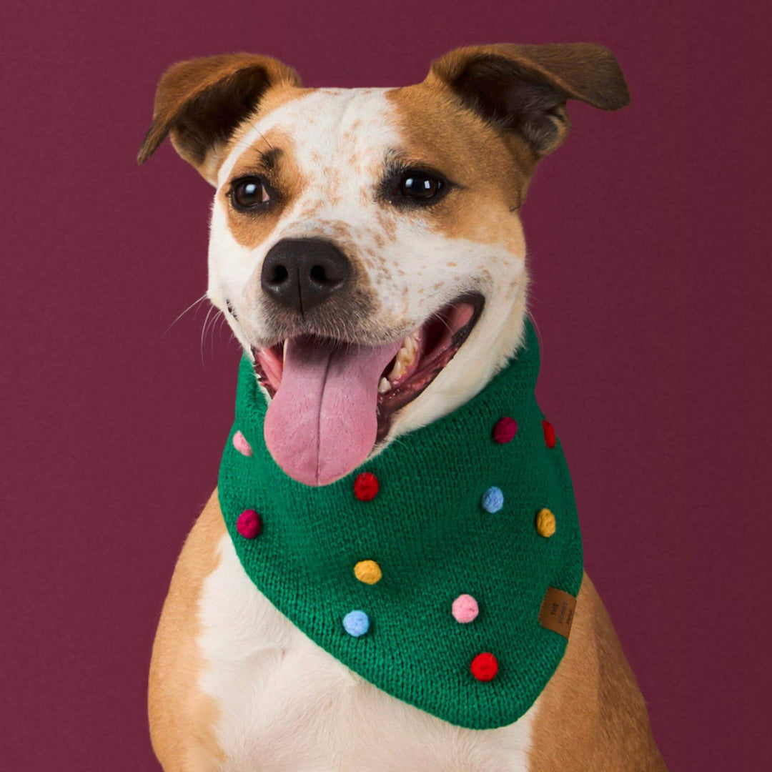 Holiday Bobble Knit Dog Bandana