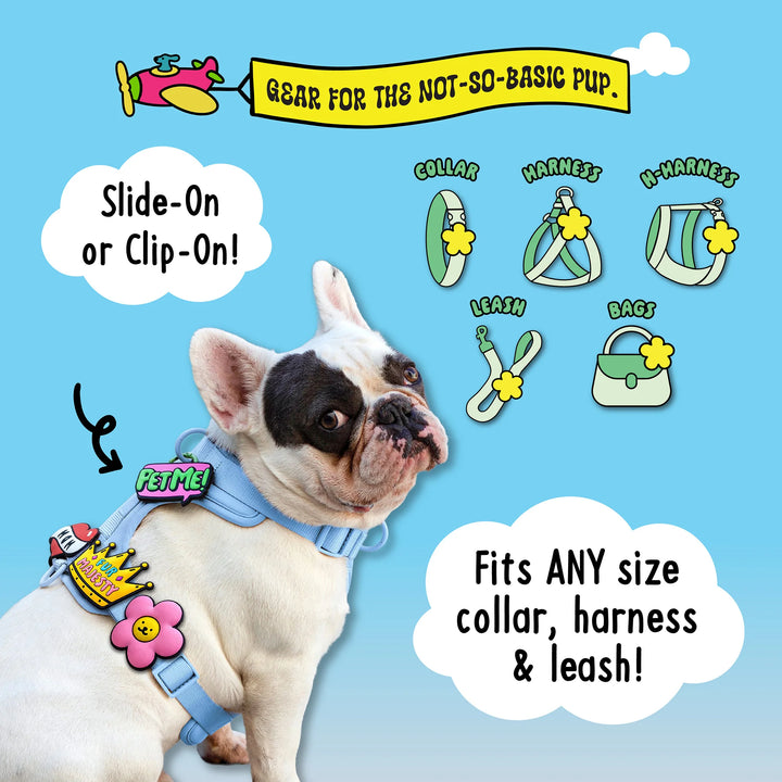 Crabby Jiby Dog Charm