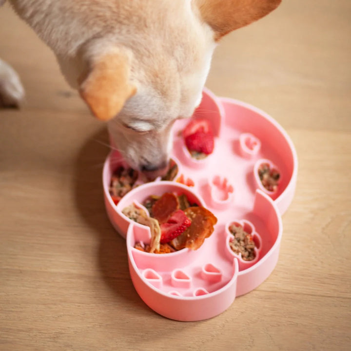 Cloud Slow Feeder Bowl