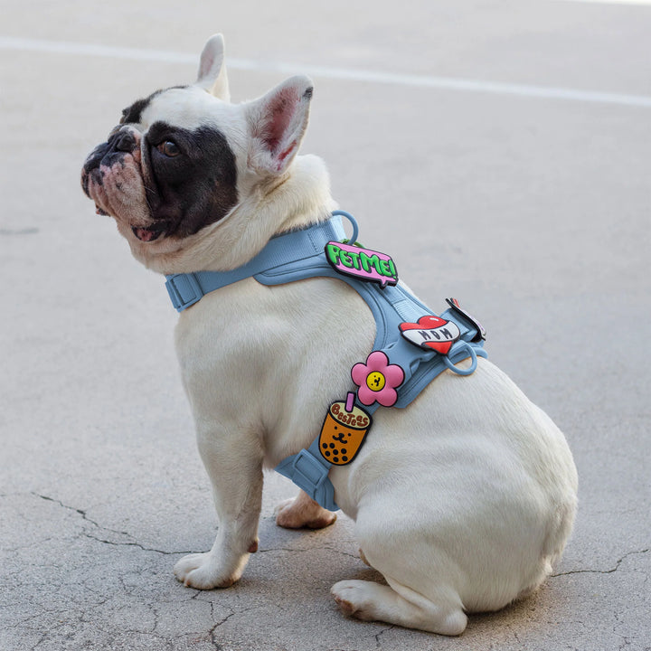 Daisy Jiby Dog Charm