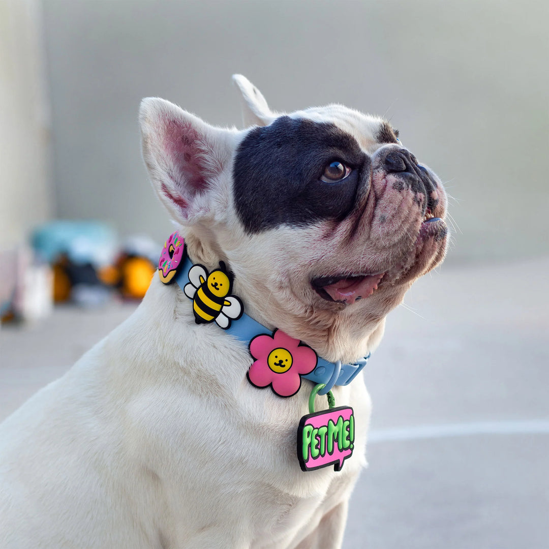 Daisy Jiby Dog Charm