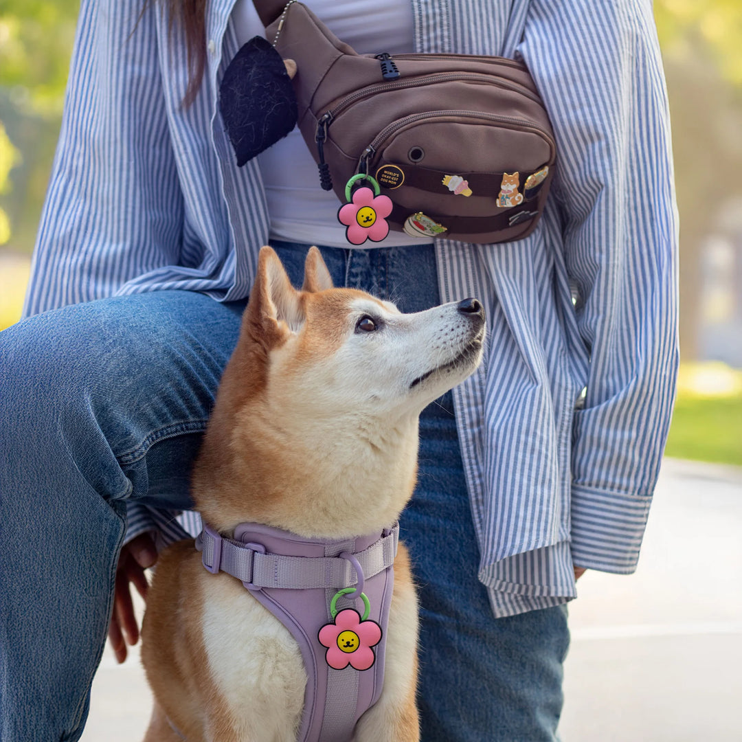 Daisy Jiby Dog Charm