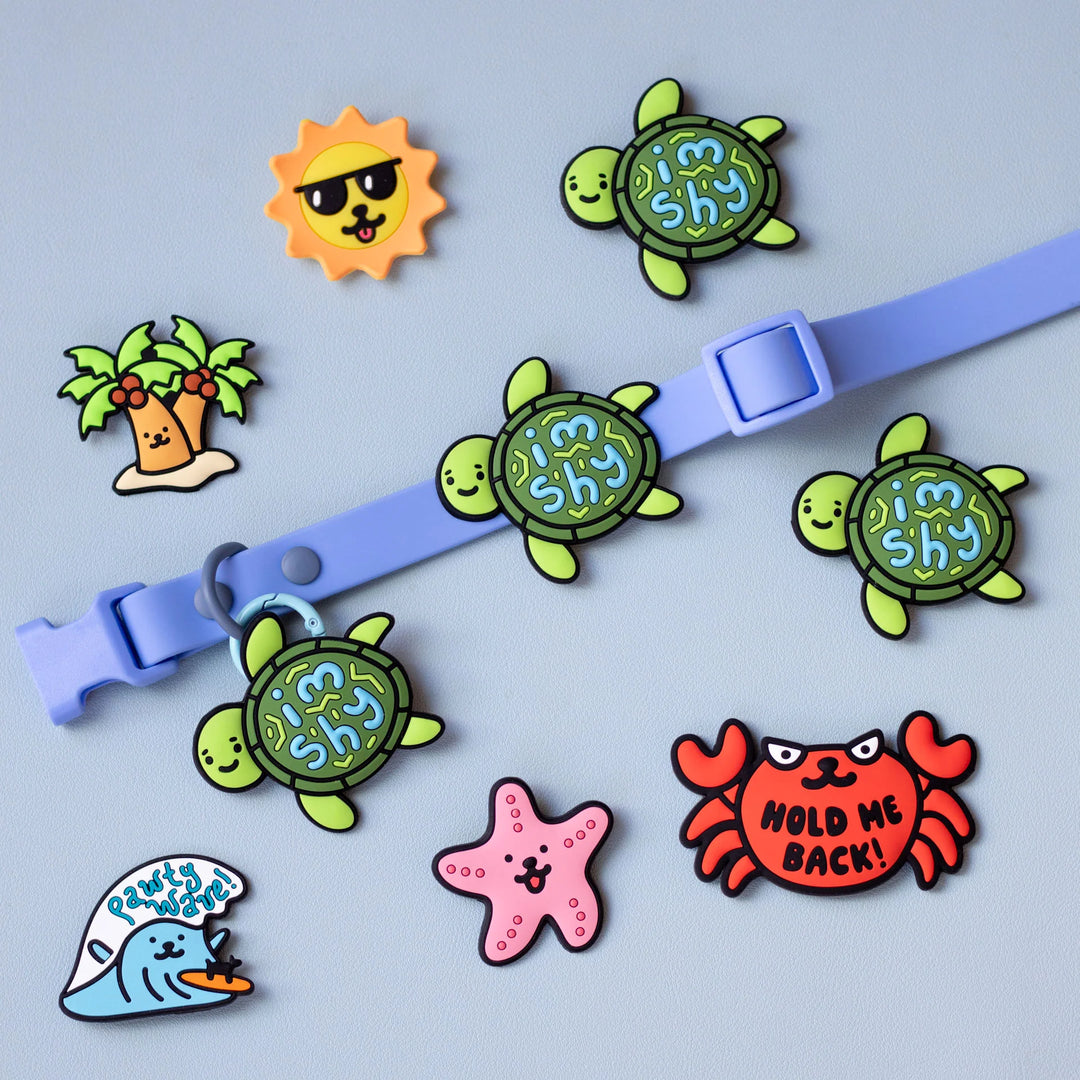 Shy Turtle Jiby Dog Charm