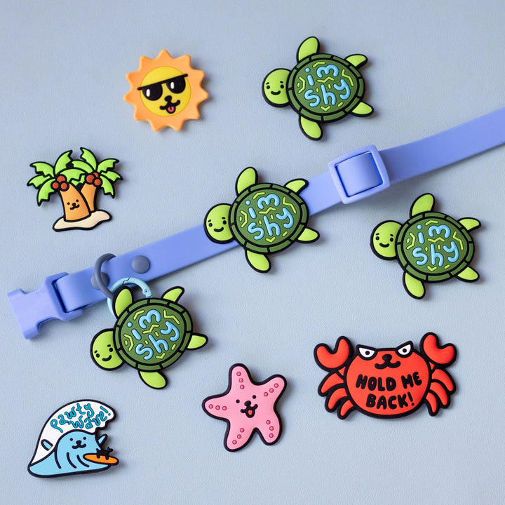 Shy Turtle Jiby Dog Charm