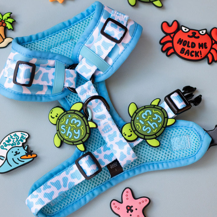 Shy Turtle Jiby Dog Charm