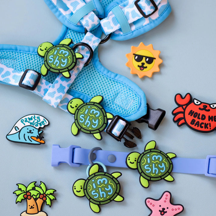 Shy Turtle Jiby Dog Charm