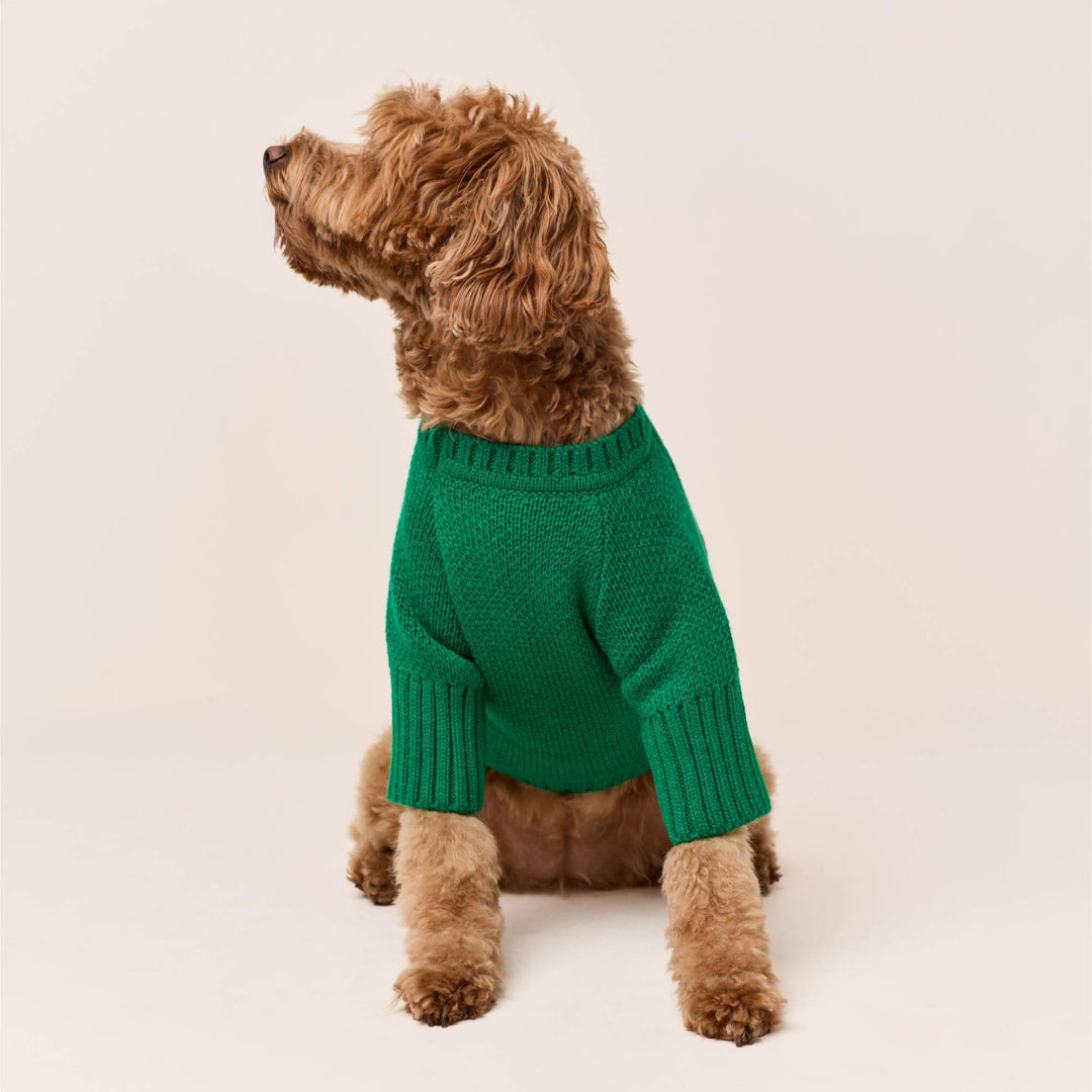 Jolly Dog Sweater