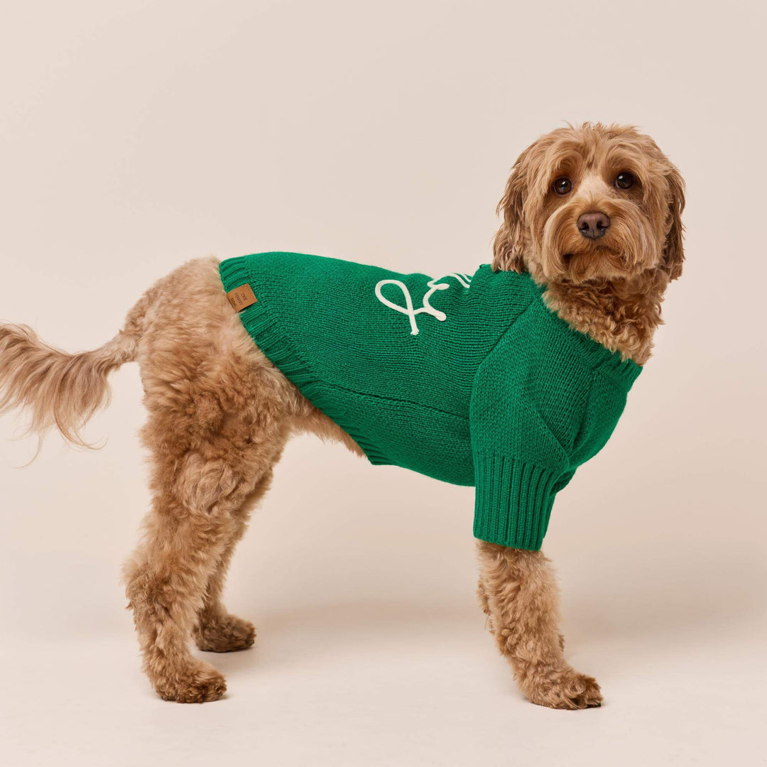 Jolly Dog Sweater