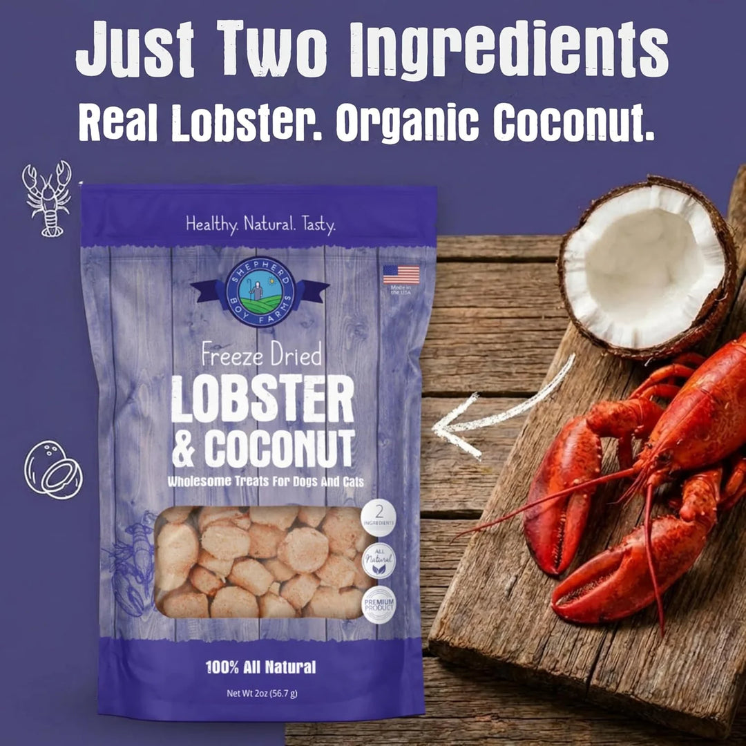 Freeze-Dried Lobster &amp; Coconut