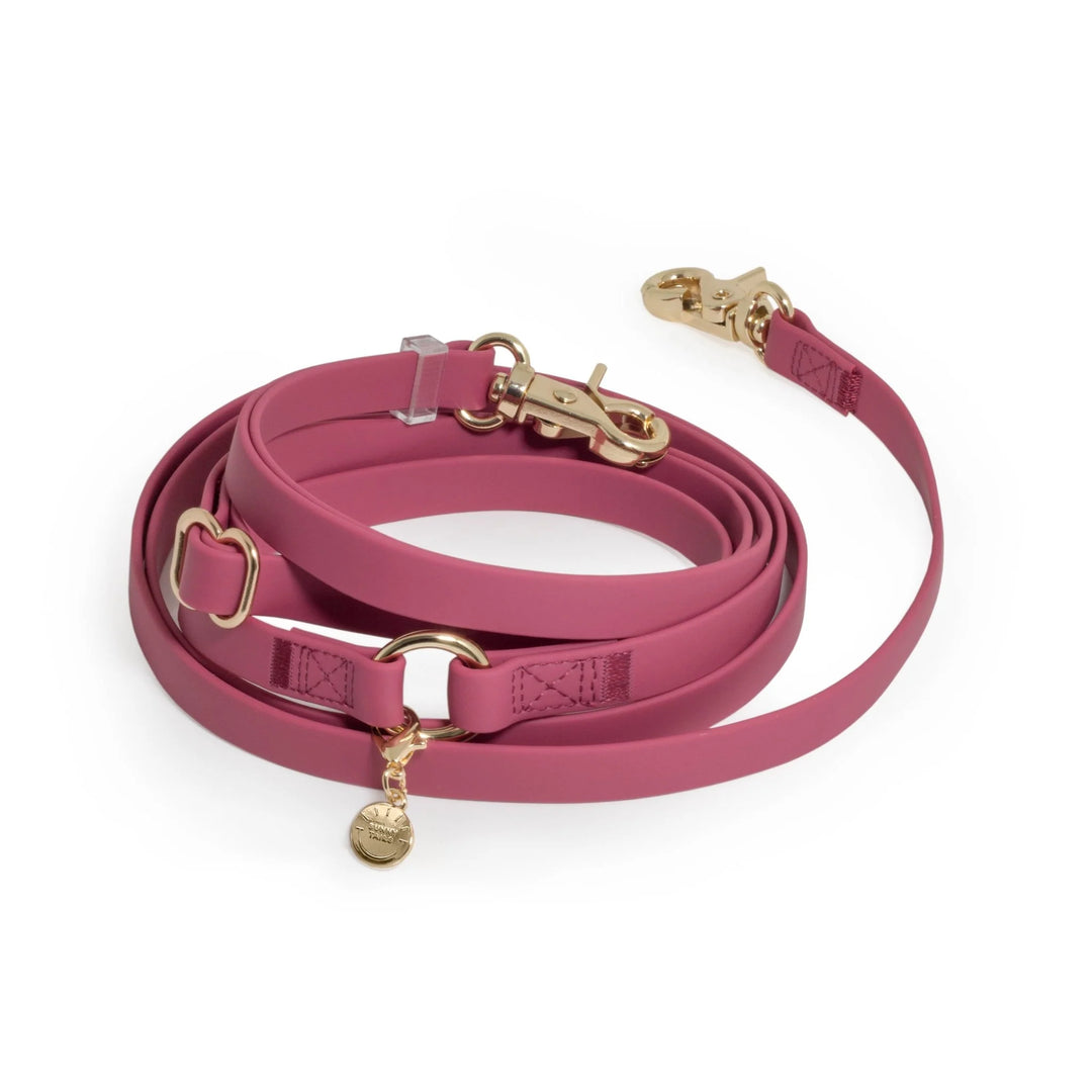 Mulberry Burgundy 4-in-1 Convertible Hands Free Cloud Dog Leash