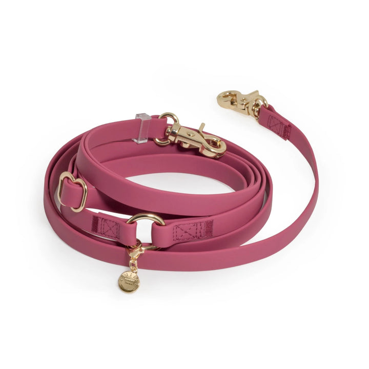 Mulberry Burgundy 4-in-1 Convertible Hands Free Cloud Dog Leash