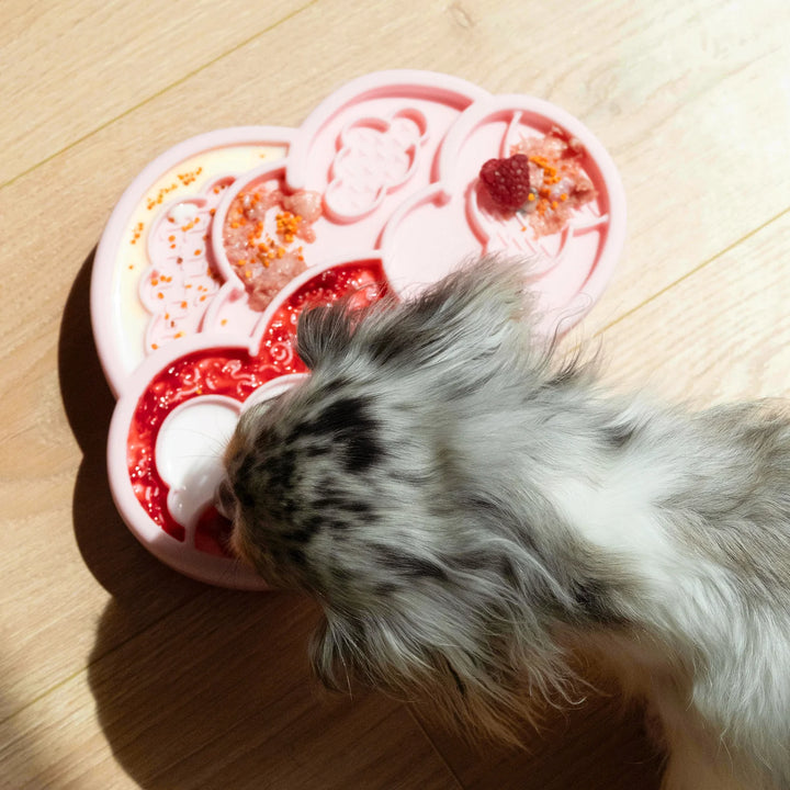 Cloud Nine Lick Mat &amp; Lid