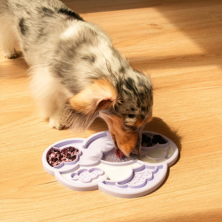 Cloud Nine Lick Mat &amp; Lid