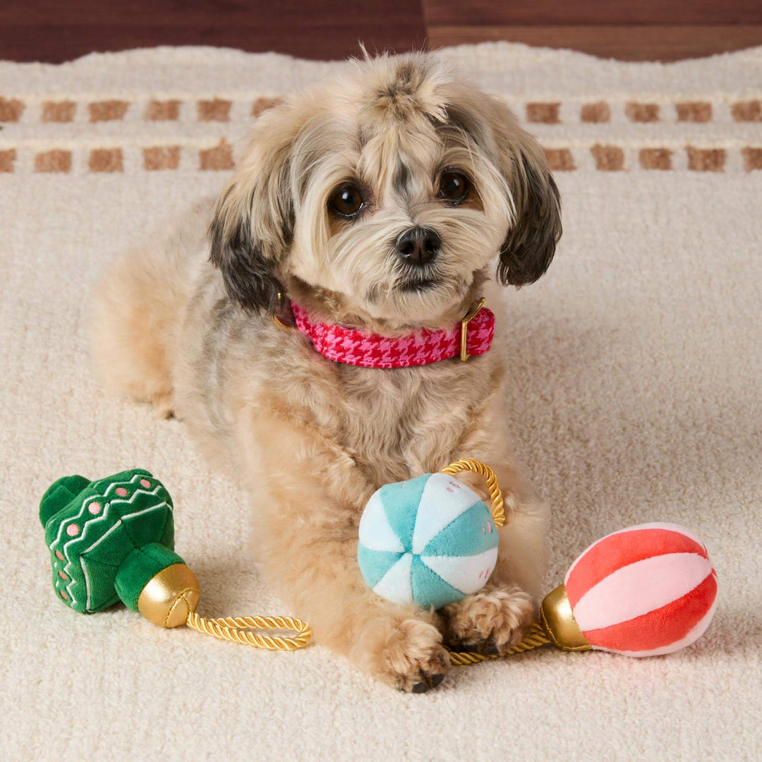 Christmas Ornament Boxed Dog Toy Set