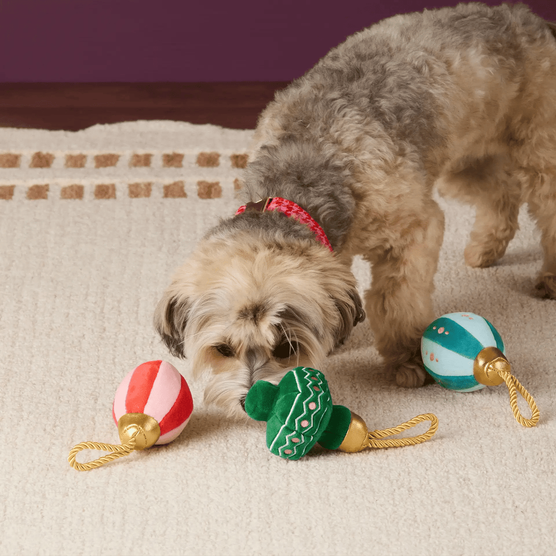 Christmas Ornament Boxed Dog Toy Set