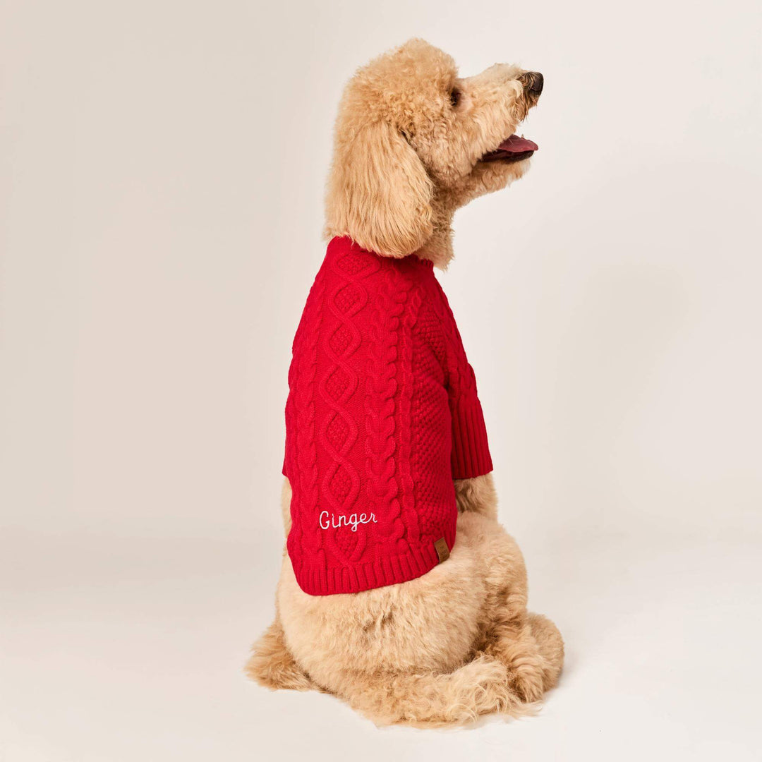 Red Cable Knit Dog Sweater