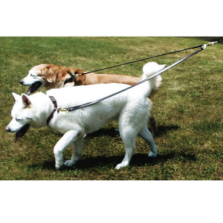 Leather Two Dog Walker / No Tangle Leash – Extra Length