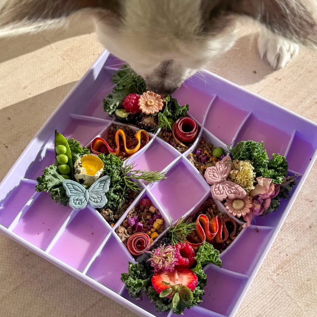 Wavies Slow Feeder Bowl