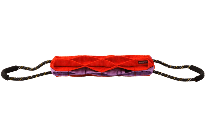 Webbing Remix Cactus Tug Toy