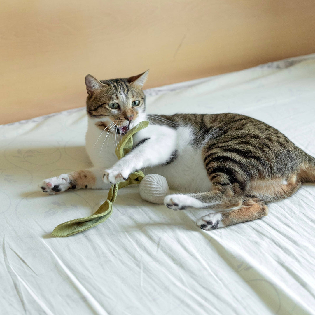 Kitty Radish Cat Toy