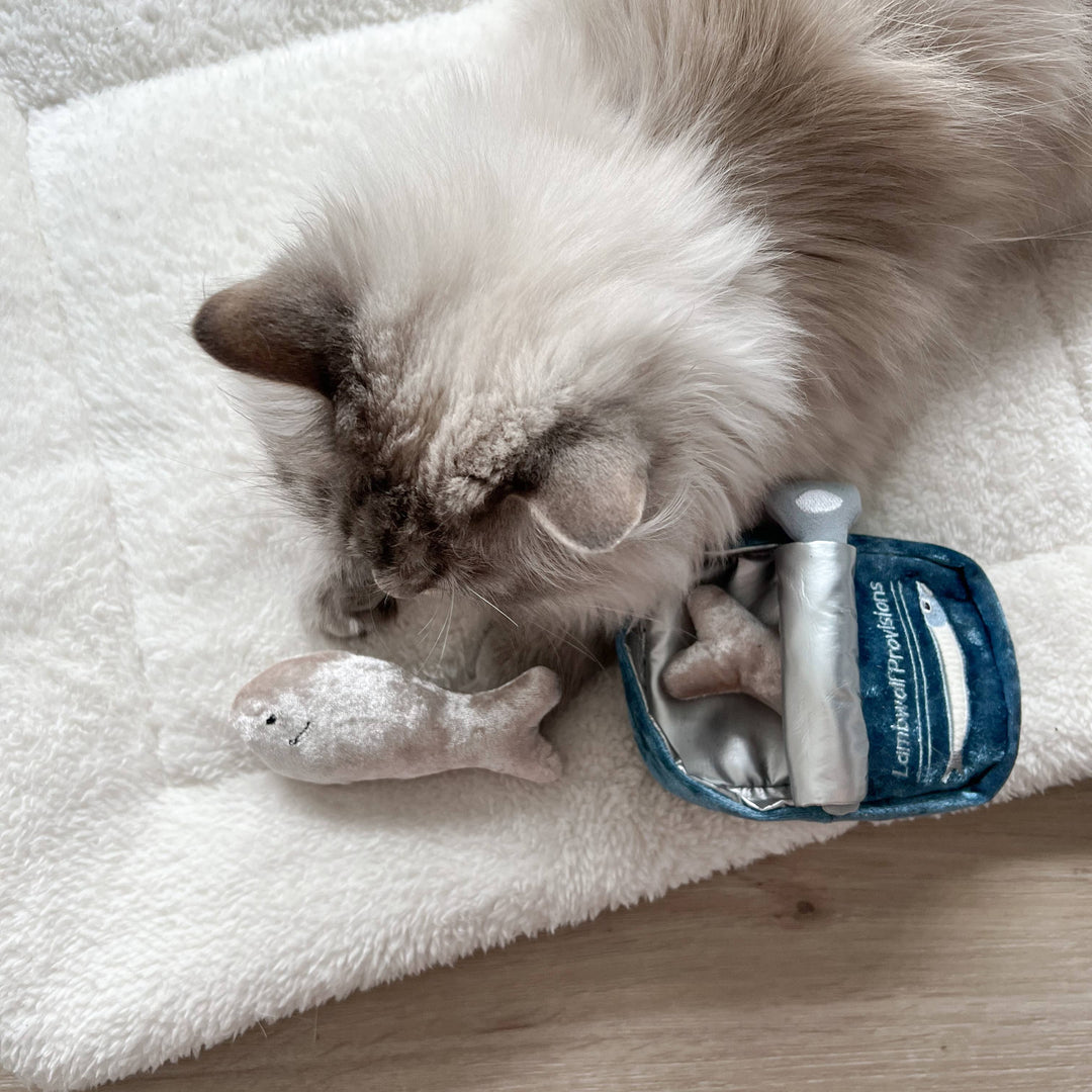 Kitty Sardines Cat Toy