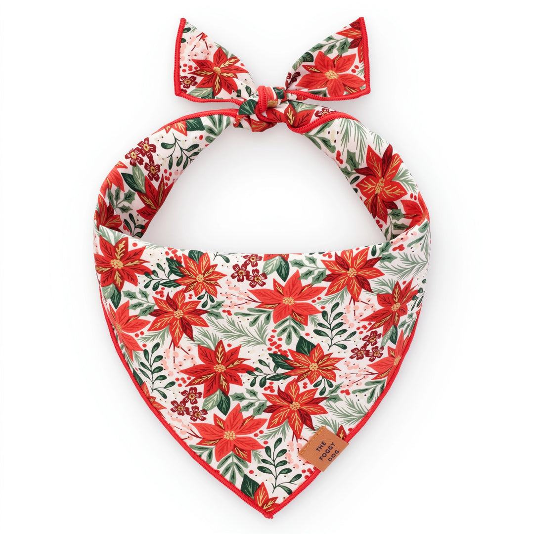 Poinsettia Dog Bandana