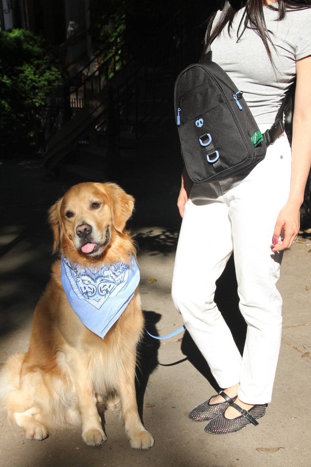 Molo Dog Walking Bag