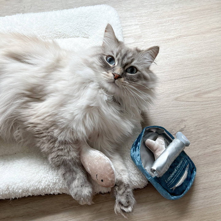 Kitty Sardines Cat Toy