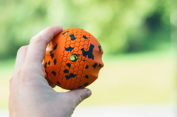 Dog Ball