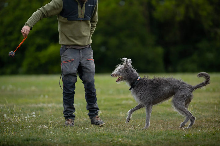 Dog Ball On Rope
