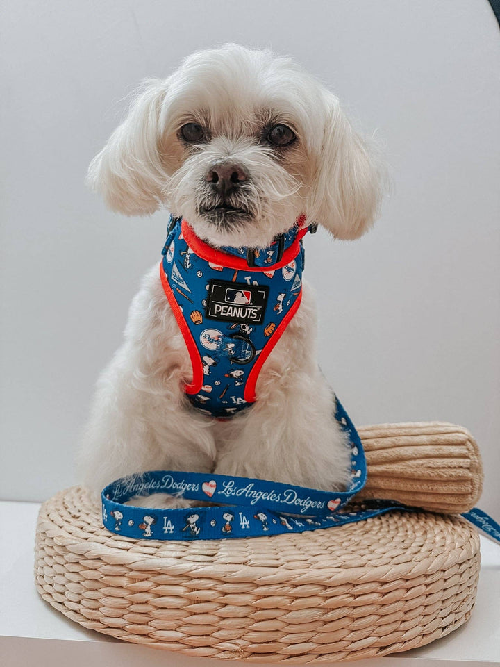 Dog Leash - MLB x Peanuts Los Angeles Dodgers